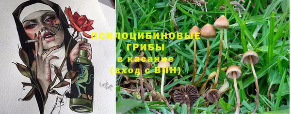 гидра Белоозёрский