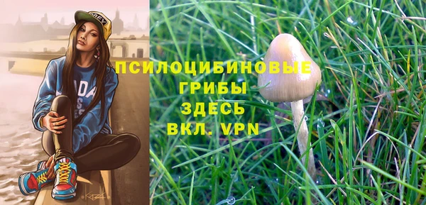 гидра Белоозёрский