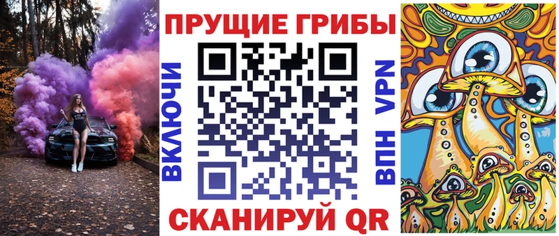 закладка  гидра зеркало  Псилоцибиновые грибы Cubensis  Черепаново 